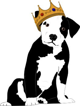 Notorious D.O.G Dog Rescue logo shows a black and white pitbull-type puppy sitting facing the viewer with a bejewelled gold crown on it's head.